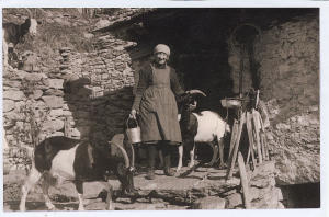 D'Andrea Assunta con le capre davanti alla propria abitazione (1964)